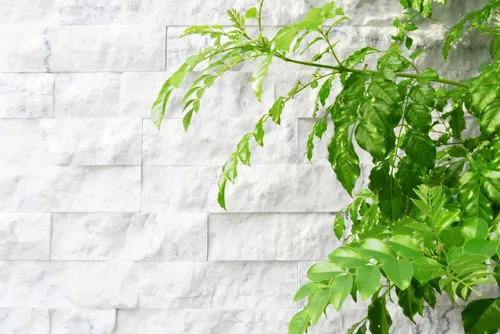 Tiles design for front wall