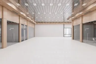 false ceiling